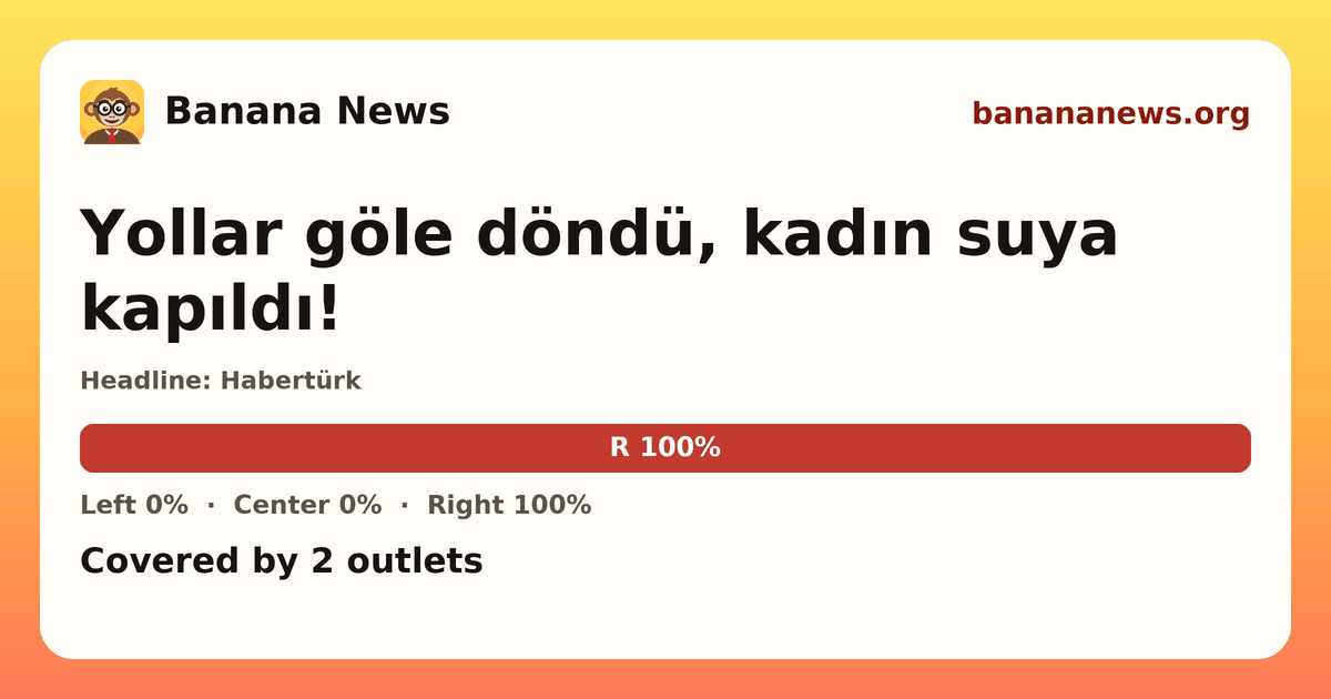 Banana News card: Yollar göle döndü, kadın suya kapıldı!. Covered by 2 outlets.