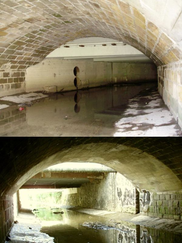 prague - botic under vysehrad