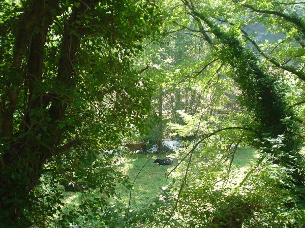 Paisaje del Camino de Santiago