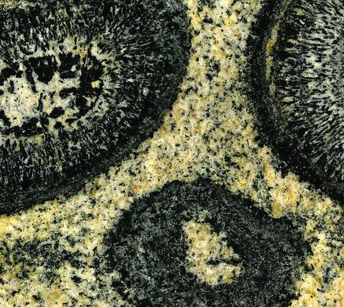 Orbicular granodiorite (Neoarchean, 2.687 Ga; Warroan Hill, West Australia) 1