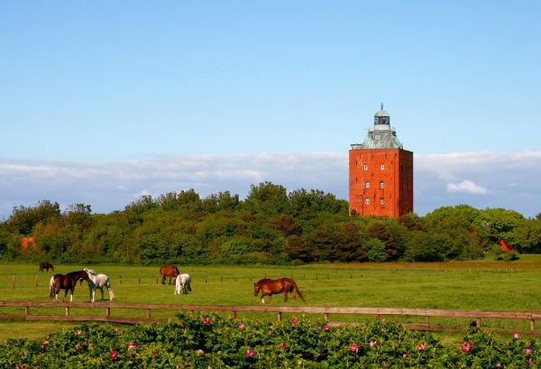 Blick zum Leuchtturm der Insel Neuwerk / View to the lighthouse on the island Neuwerk