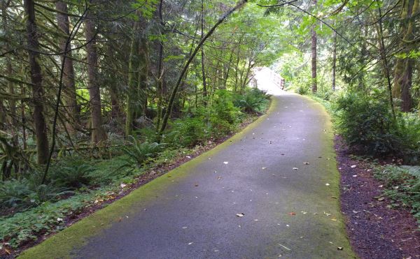 Wildwood Recreation Site