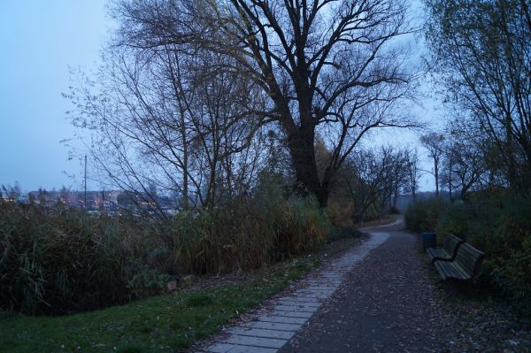 Halbinsel Stralau