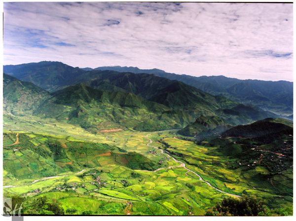 Mùa vàng trên Mù Cang Chải