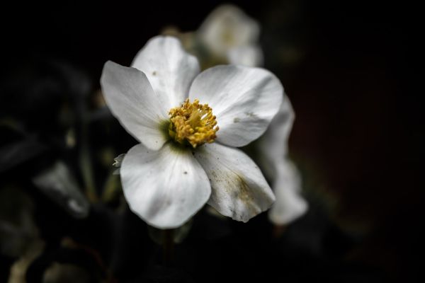dreckig wie der winter