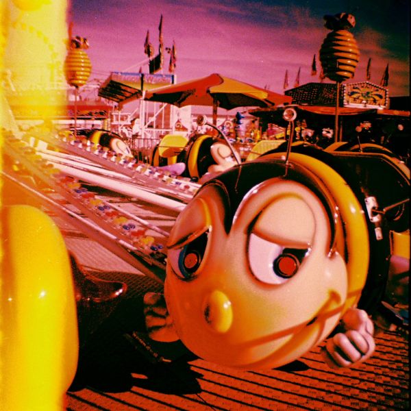 Bee