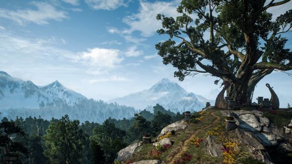 The Witcher 3: Wild Hunt / Tree Shrine