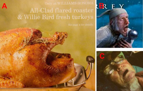 Williams Sonoma Roast Turkey Resembles Dead Old Person