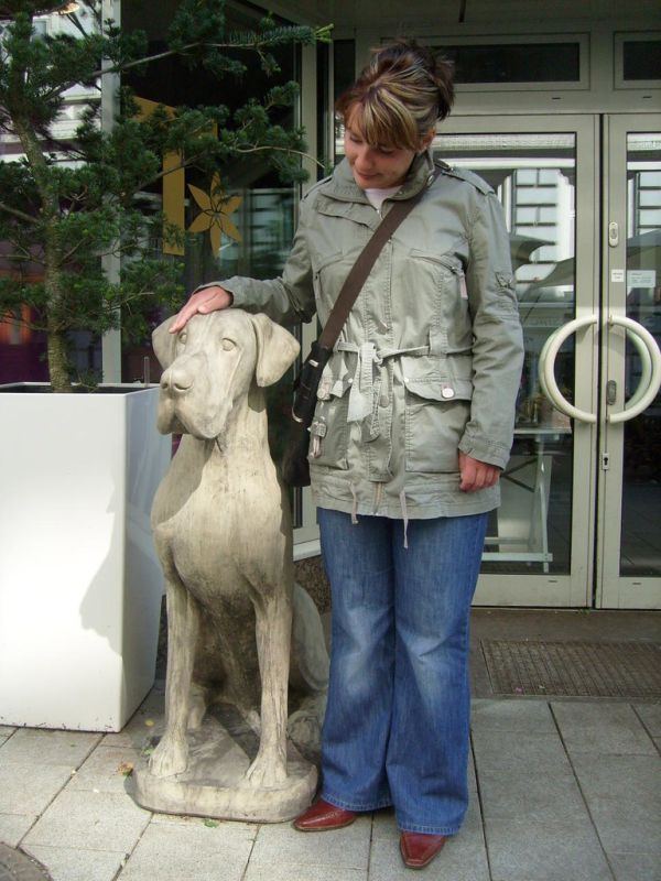 Doggen wollen gestreichelt werden