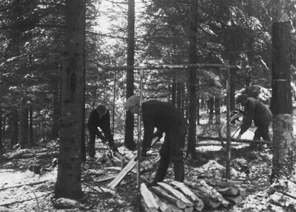 Miehet tekevät halkoja metsässä. 'Mihinkäs panet tällaisen, harvennuksessa saadun pienpuun, kun matkaa on jo rautatiease