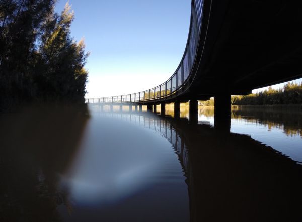 Christine Proietti Mount Annan Bridge Young - W - 1st