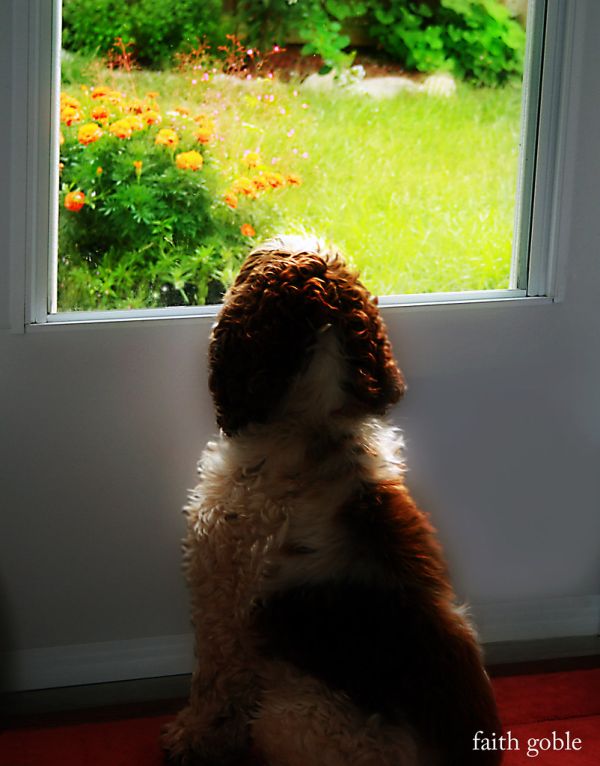 Bones in Heaven