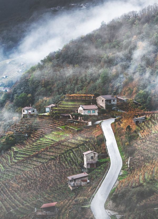 Ribeira Sacra