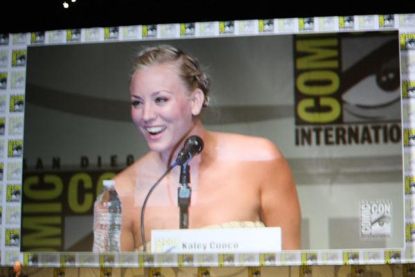 The Big Bang Theory - Panel