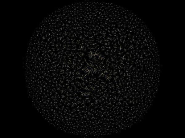 zoom0-allclusters-nonames