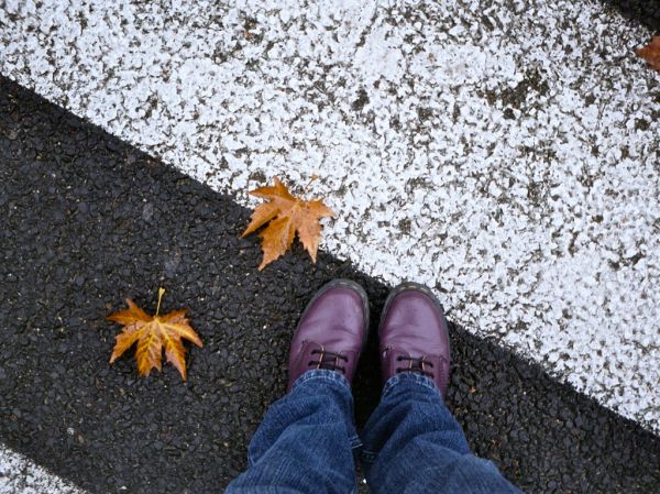 Io e Penelope (e le scarpe più belle del mondo)