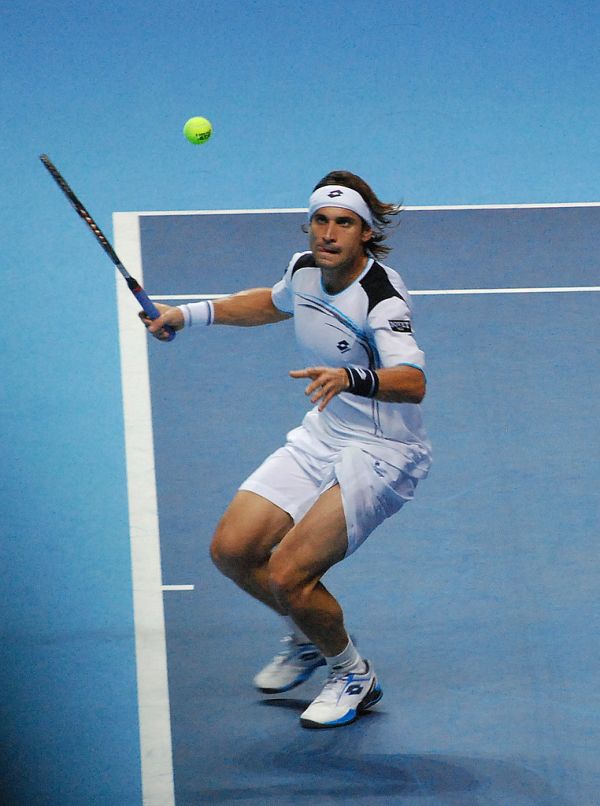 David Ferrer