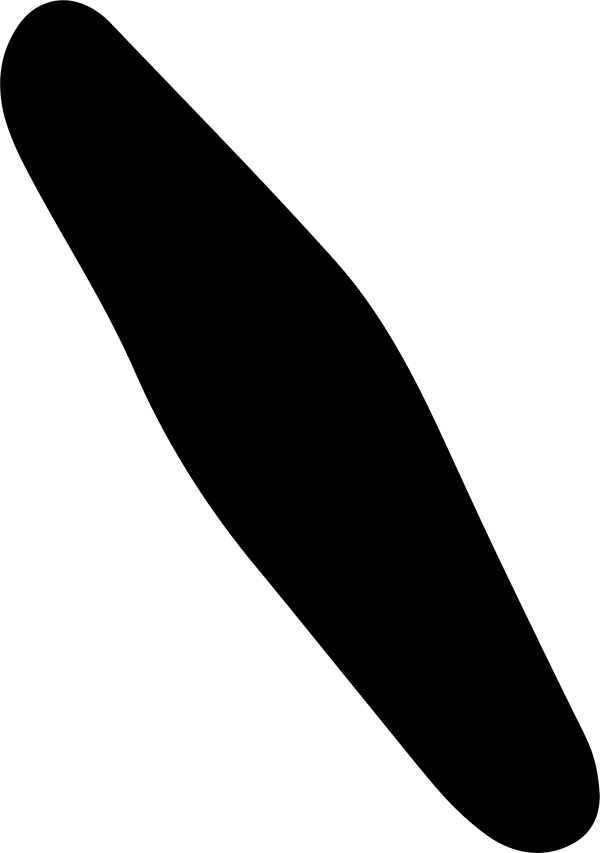 Phaeodactylum tricornutum