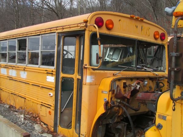 Wayne S-1700 School Bus