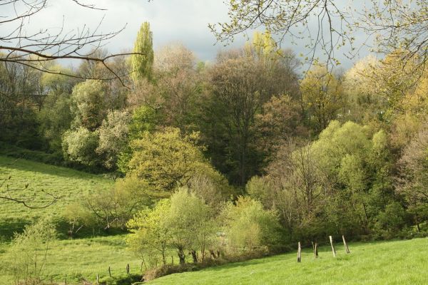 in den tälern von solingen