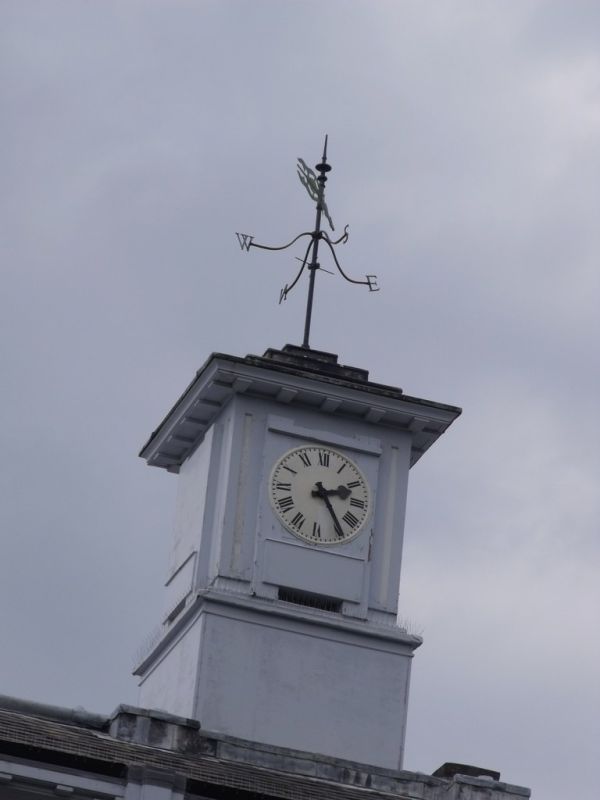 Zoological Society of London building on Outer Circle (ZSL Offices & Library) - clock and weather vane