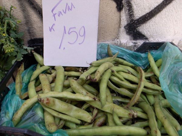 Sådan ser favabønner ud friske