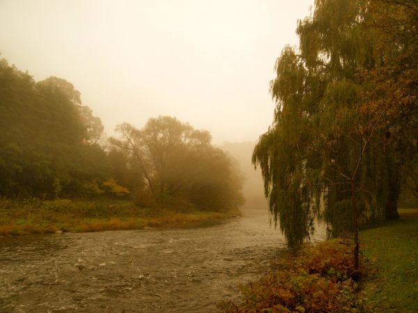 Hurricane Sandy
