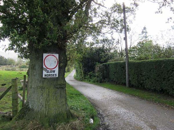 Slow horses