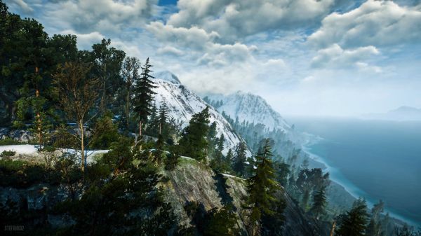 The Witcher 3: Wild Hunt / A View