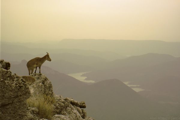 Mirando al Futuro