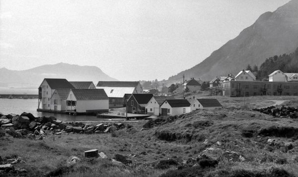 The island of Runde | Spotmatic