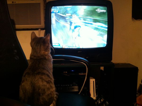 Corey watching the Giro di Lombardia