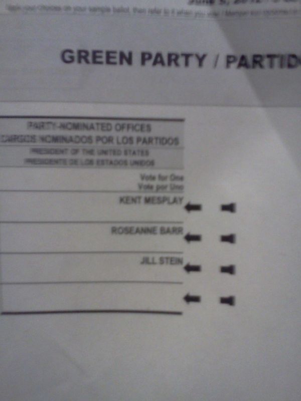 Roseanne Barr for President?
