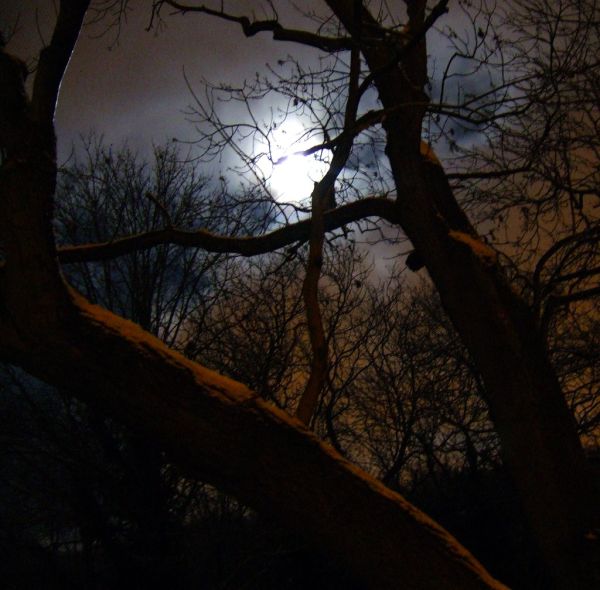 Gift Moon (teach yourself runes part 4)
