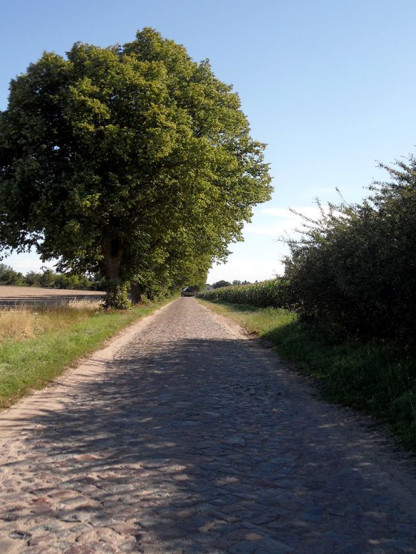 Mecklenburg-Vorpommern