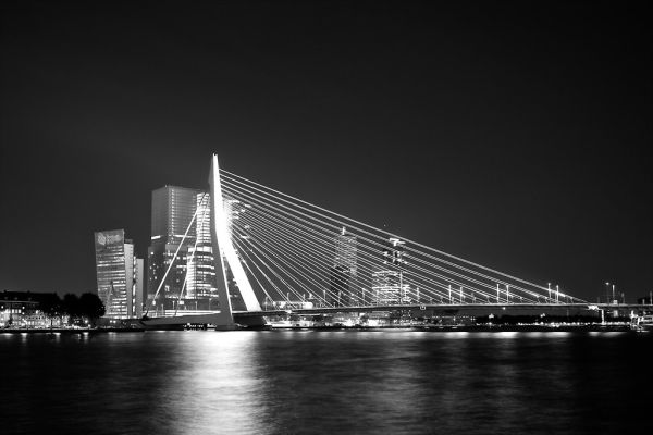 Rotterdam: Erasmus Bridge (Explored)