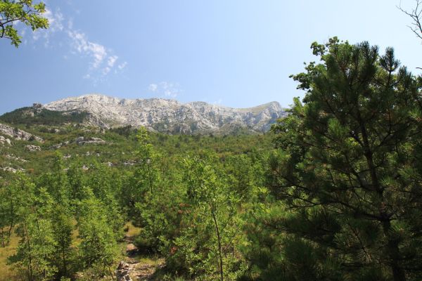 Tohle jsme slezli