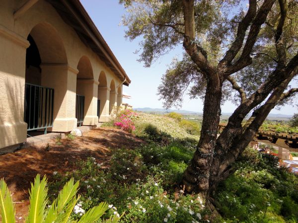 Gloria Ferrer Caves and Vineyards, Sonoma Valley, California, USA