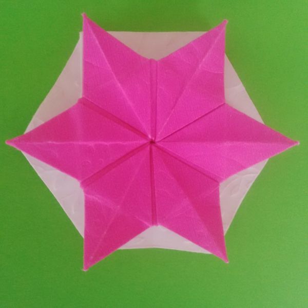 Not Quite Tereza Corsini's Star Tato
