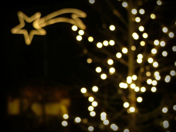 Per Natale vorrei una stella lucente e bella. For Christmas I would like a beautiful and bright star.