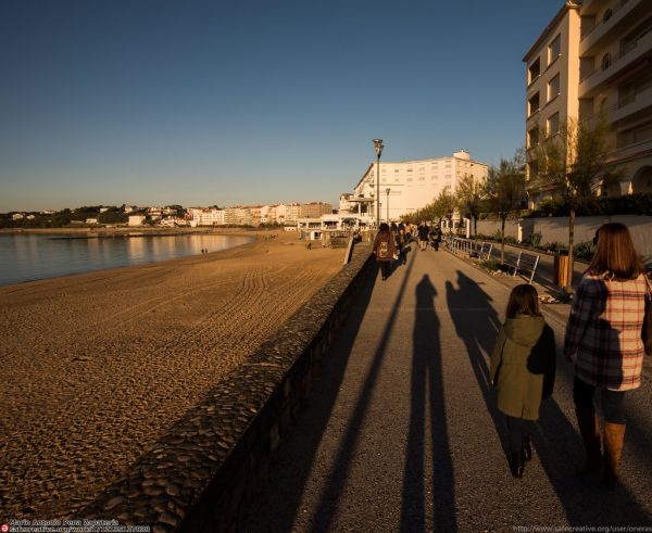 long winter shadows
