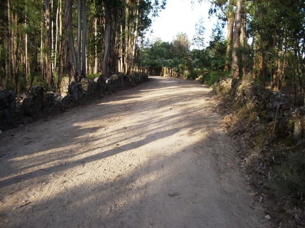 MANUTENÇÃO/CAMINHOS FAZENDEIROS