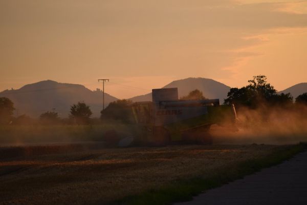 Die letzten Runden in der Abendsonne...