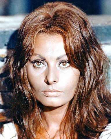 Sophia Loren