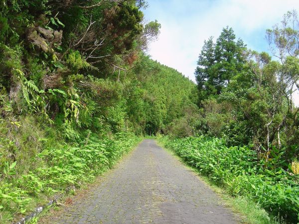 Paisagem entre Caldeiras e Lombadas - Ribeira Grande