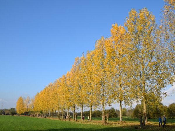 Herfstwandeling Doorslaar