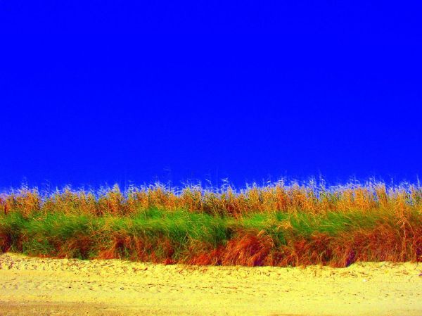 torre canne