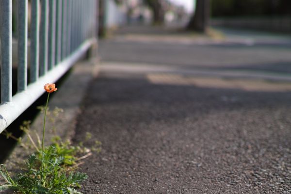 On The Asphalt