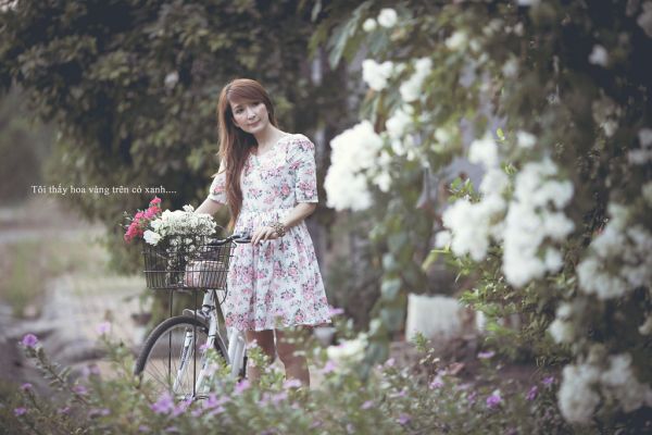 Tôi thấy hoa vàng trên cỏ xanh..