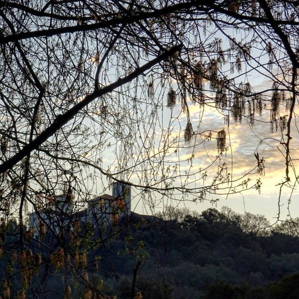 #bonjour #sbahelkheir #goodmorning #ardeche #france #nightrun #runoftheday #running #run #earlybird #runner #sunrise #da